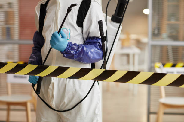 Professional Sewage Cleanup technician working in Fresno, TX